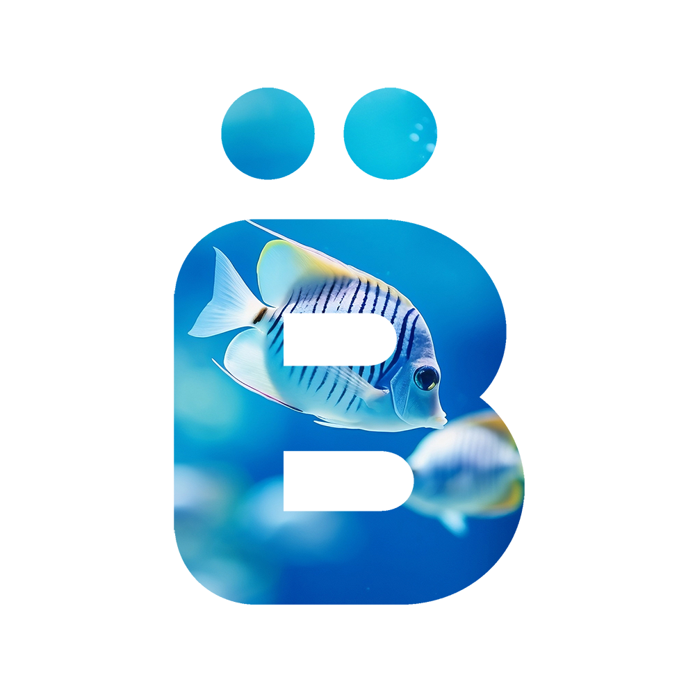 logo B bleu bora-bora