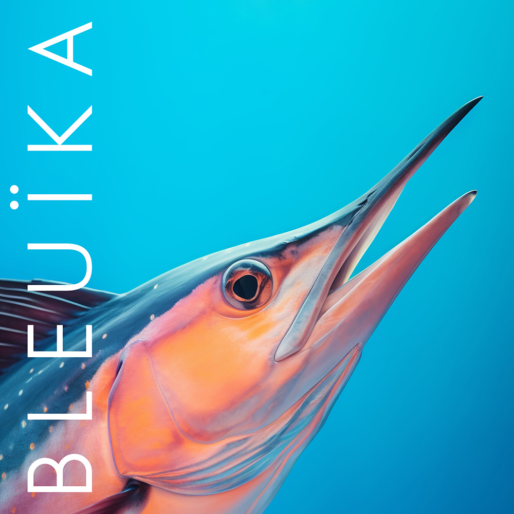 bleuika graphisme poisson