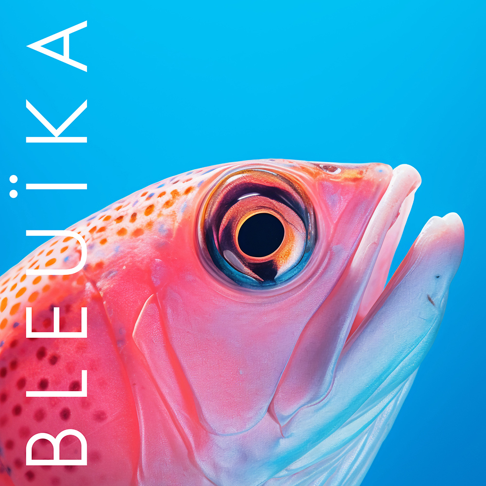 bleuika bleu poisson rose
