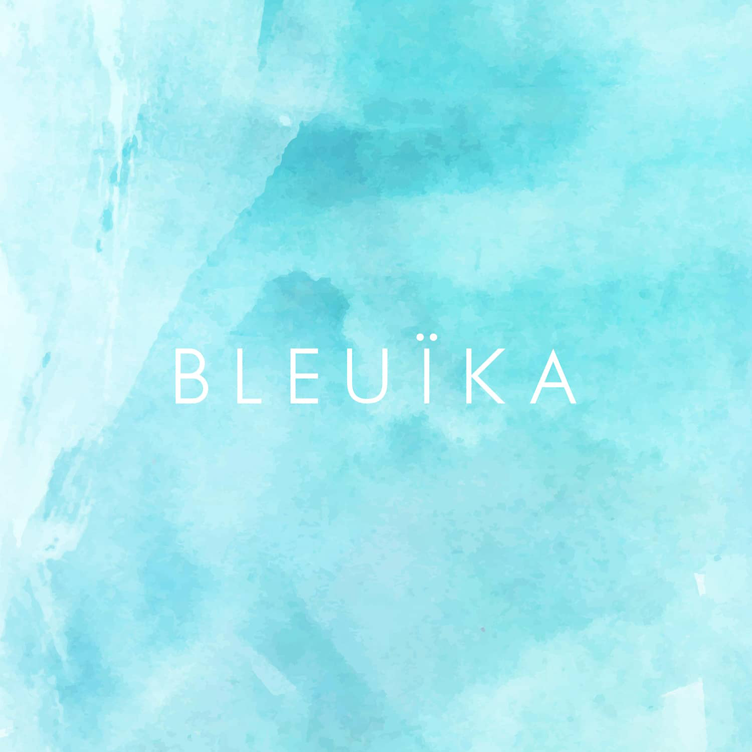 infographiste luxe bleuika