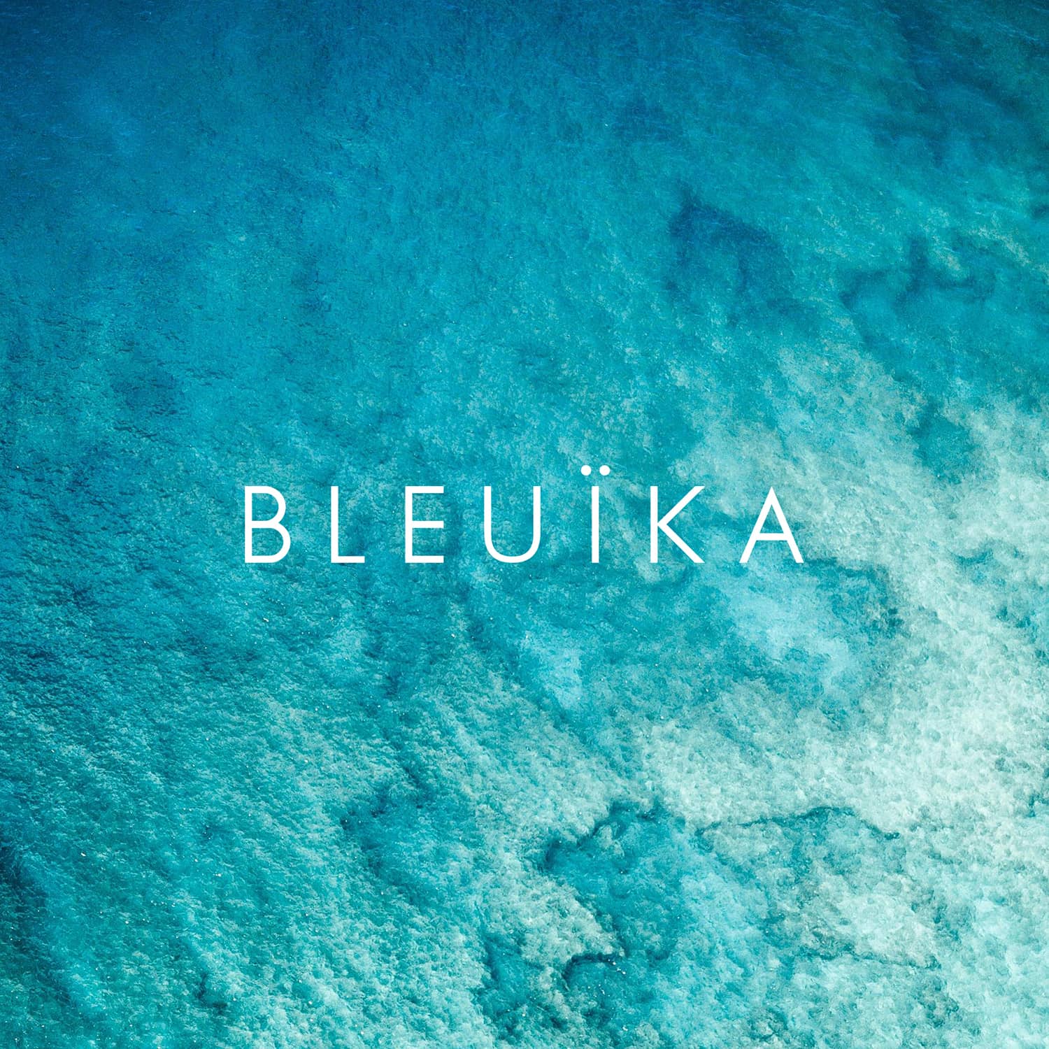 bleuika logo blanc Le Robert