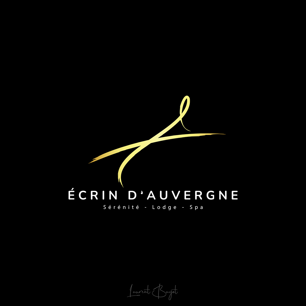 design logo spa